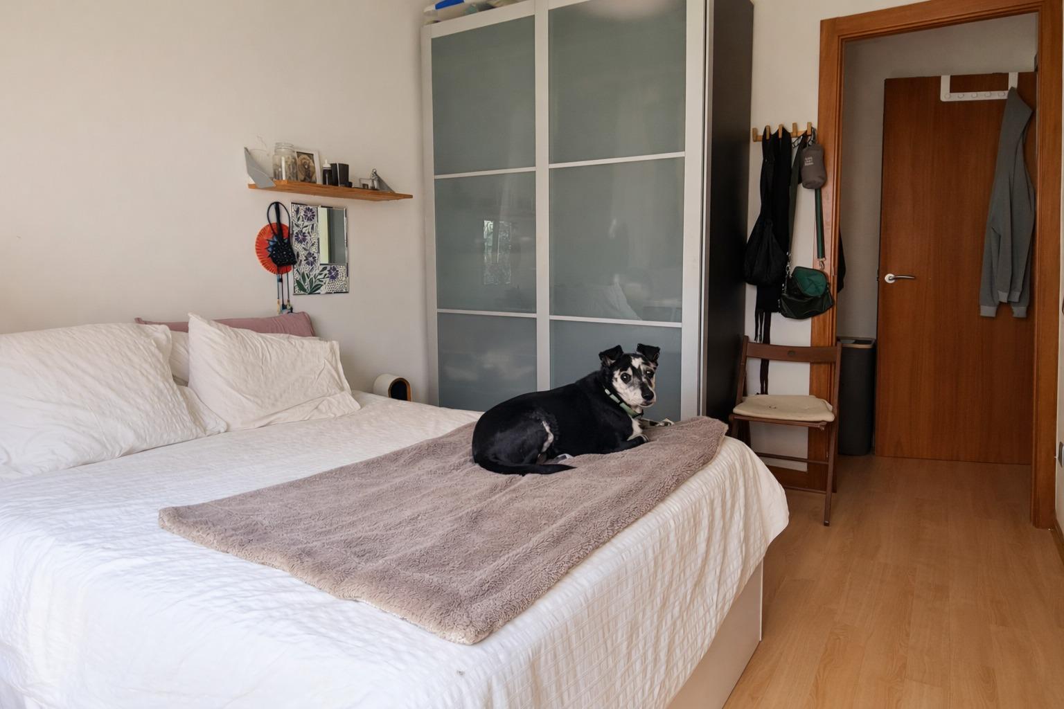 Foto 15 de MAGNÍFICO BAJO DE  4 HABITACIONES, 100M2 DE PISO + 100M2 DE PATIO EN SANT CUGAT DEL VALLÈS.
