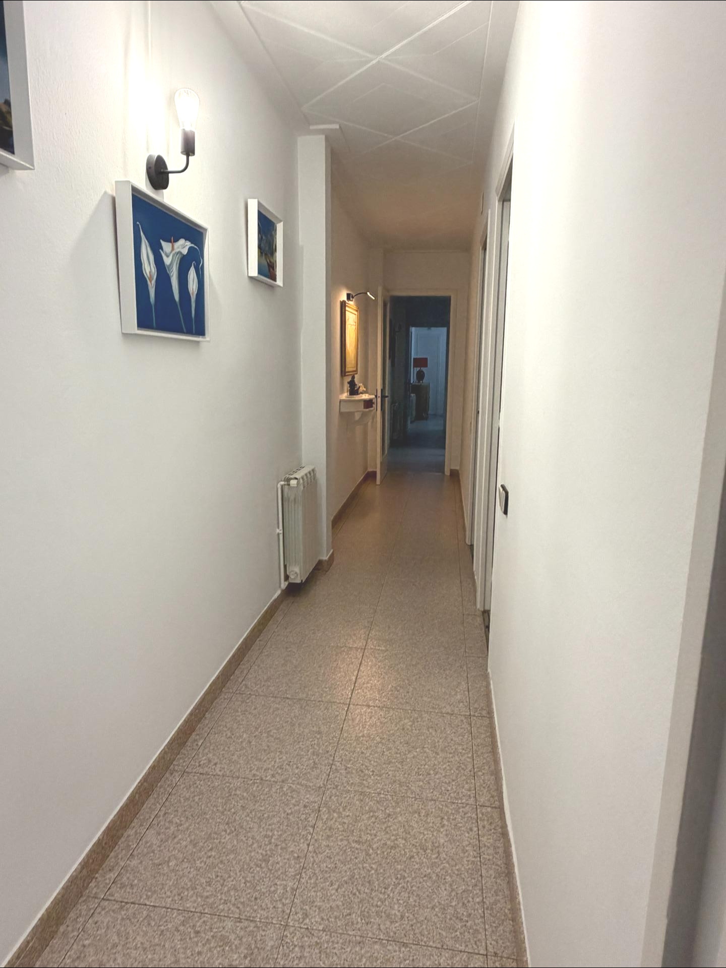Foto 5 de PLANTA BAIXA AMB GARATGE IMMENS